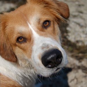 Meet your Posher, Cathryn